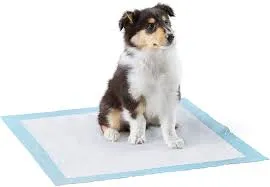 Animal Instincts - Puppy Training Pads - 60CM - 15 PADS