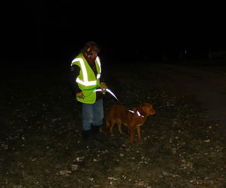 BioThane Reflective Leashes