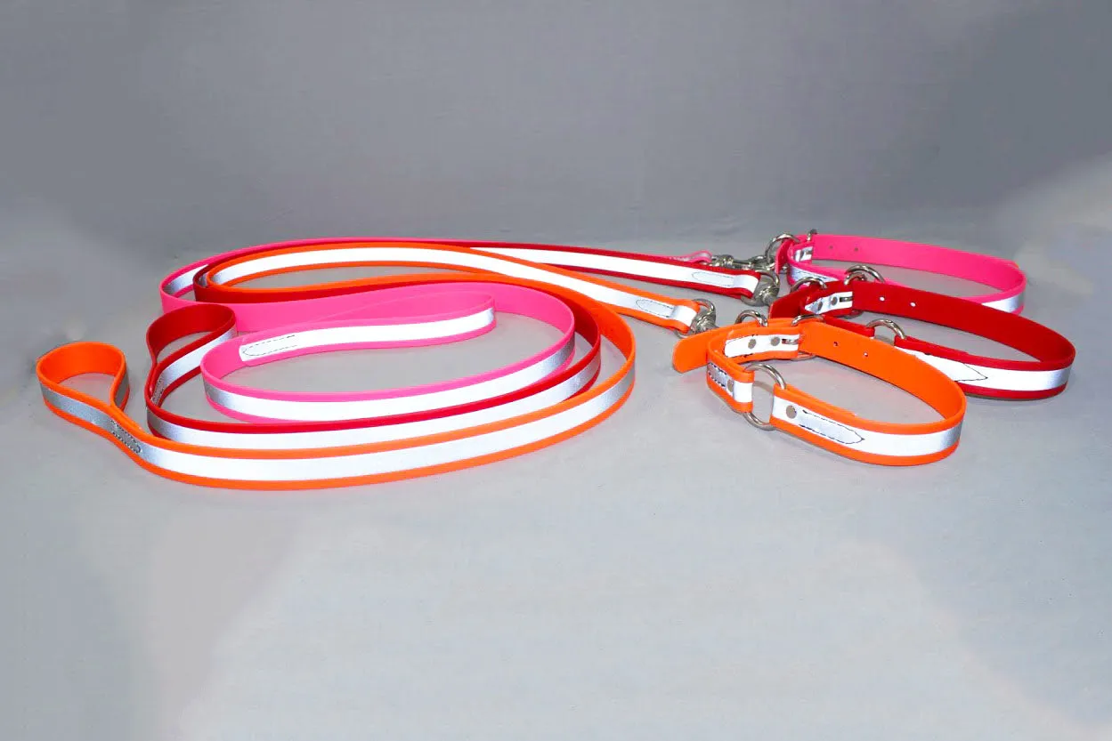 BioThane Reflective Leashes