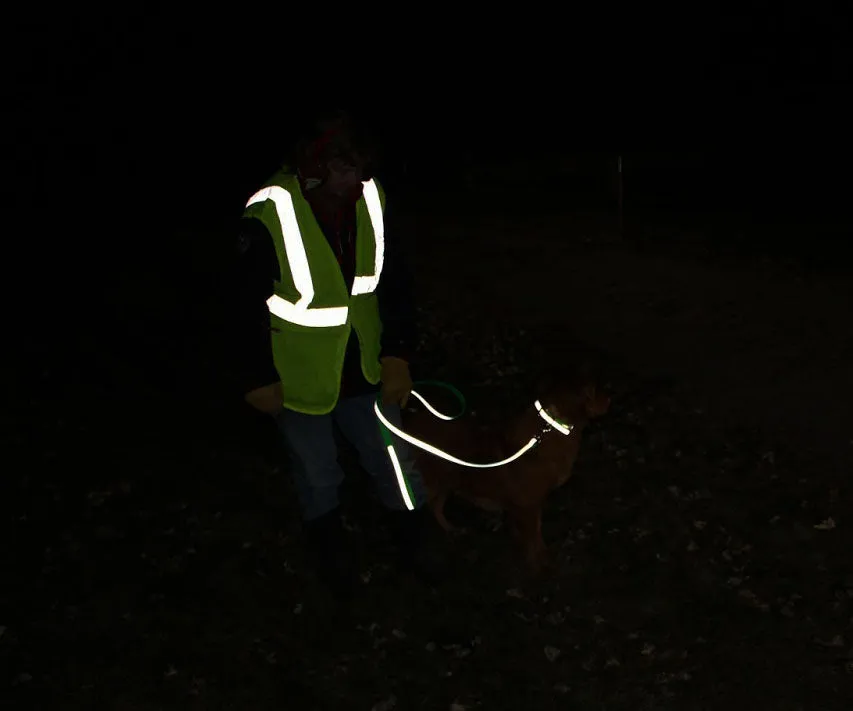 BioThane Reflective Leashes