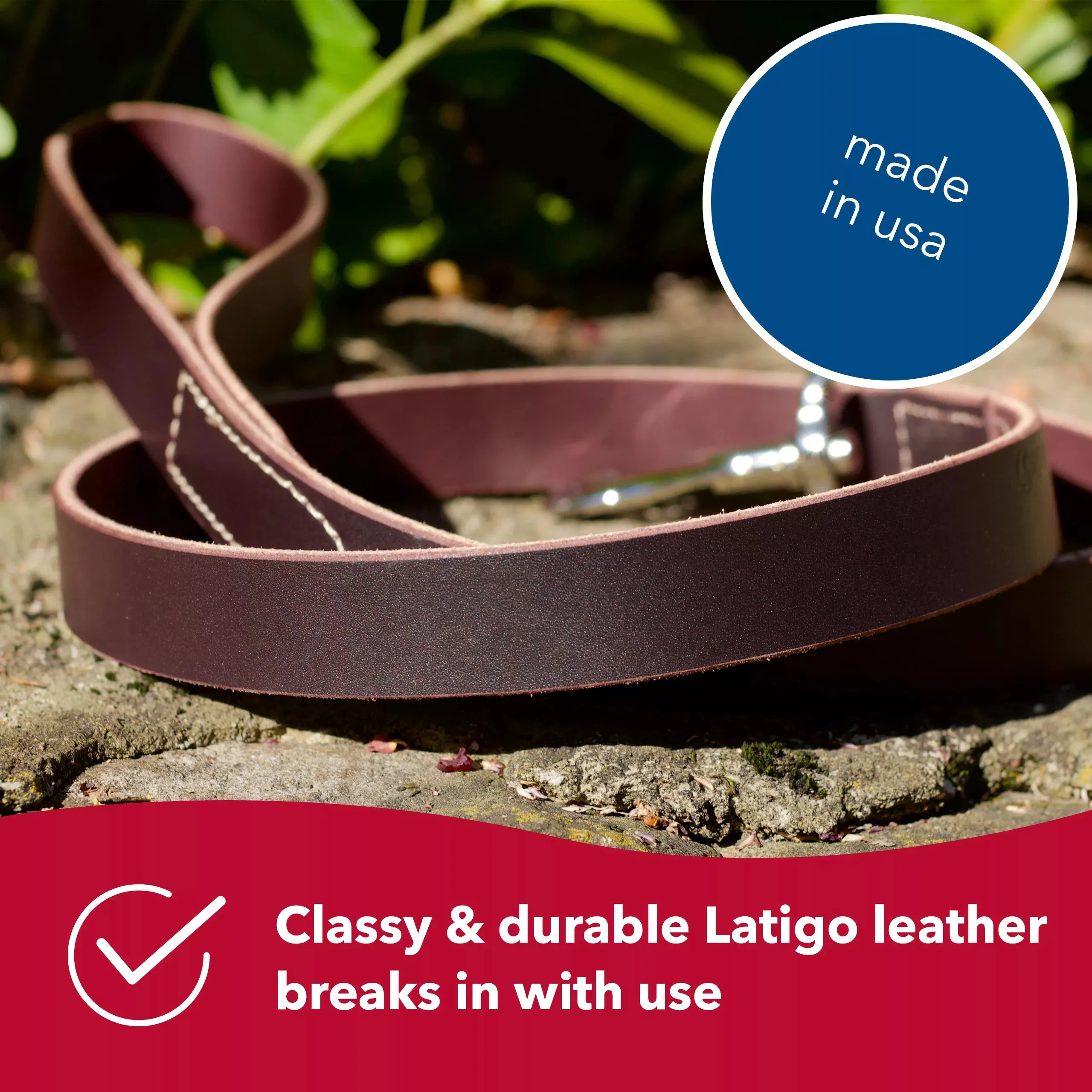 Coastal Pet Products Circle T Latigo Leather Dog Leash