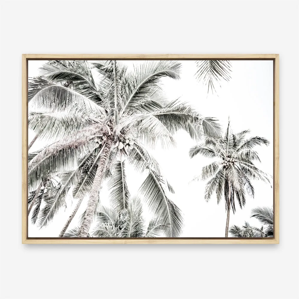 Coconut Palms Photo Canvas Print