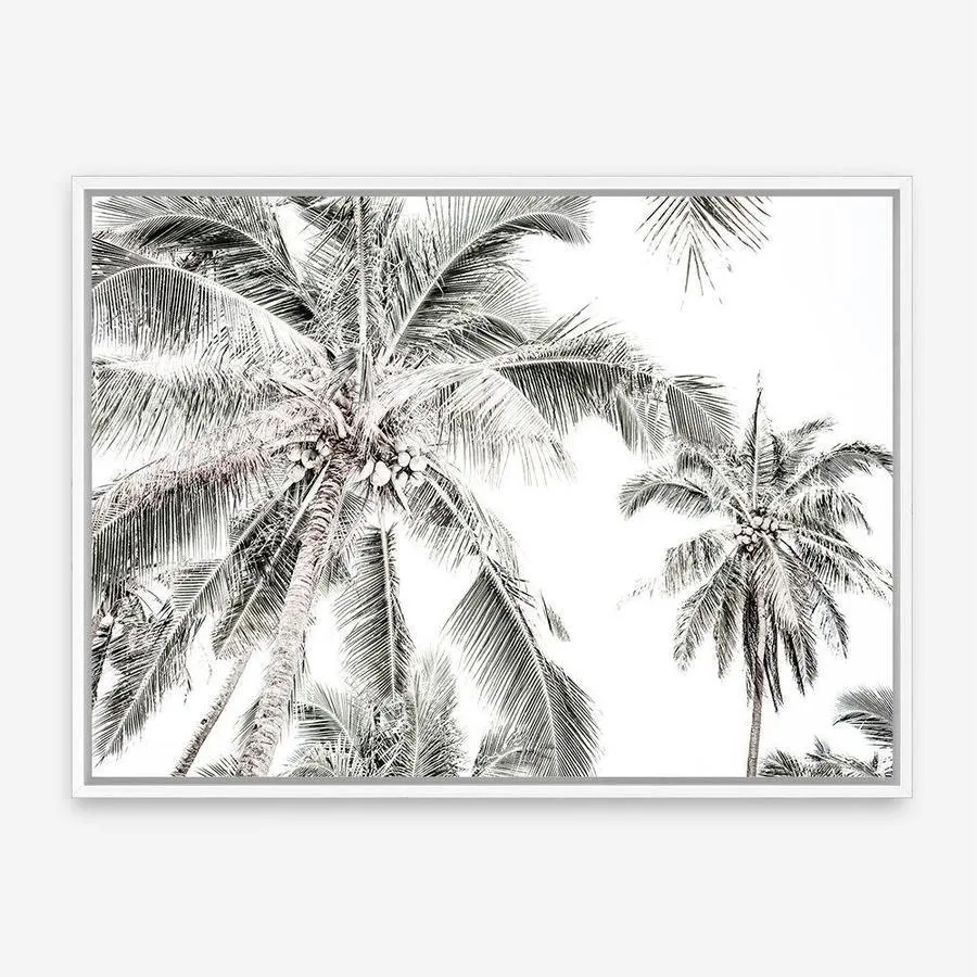 Coconut Palms Photo Canvas Print