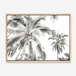 Coconut Palms Photo Canvas Print