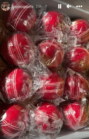 Cricket Leather Ball - Red - SS, SF, P & R