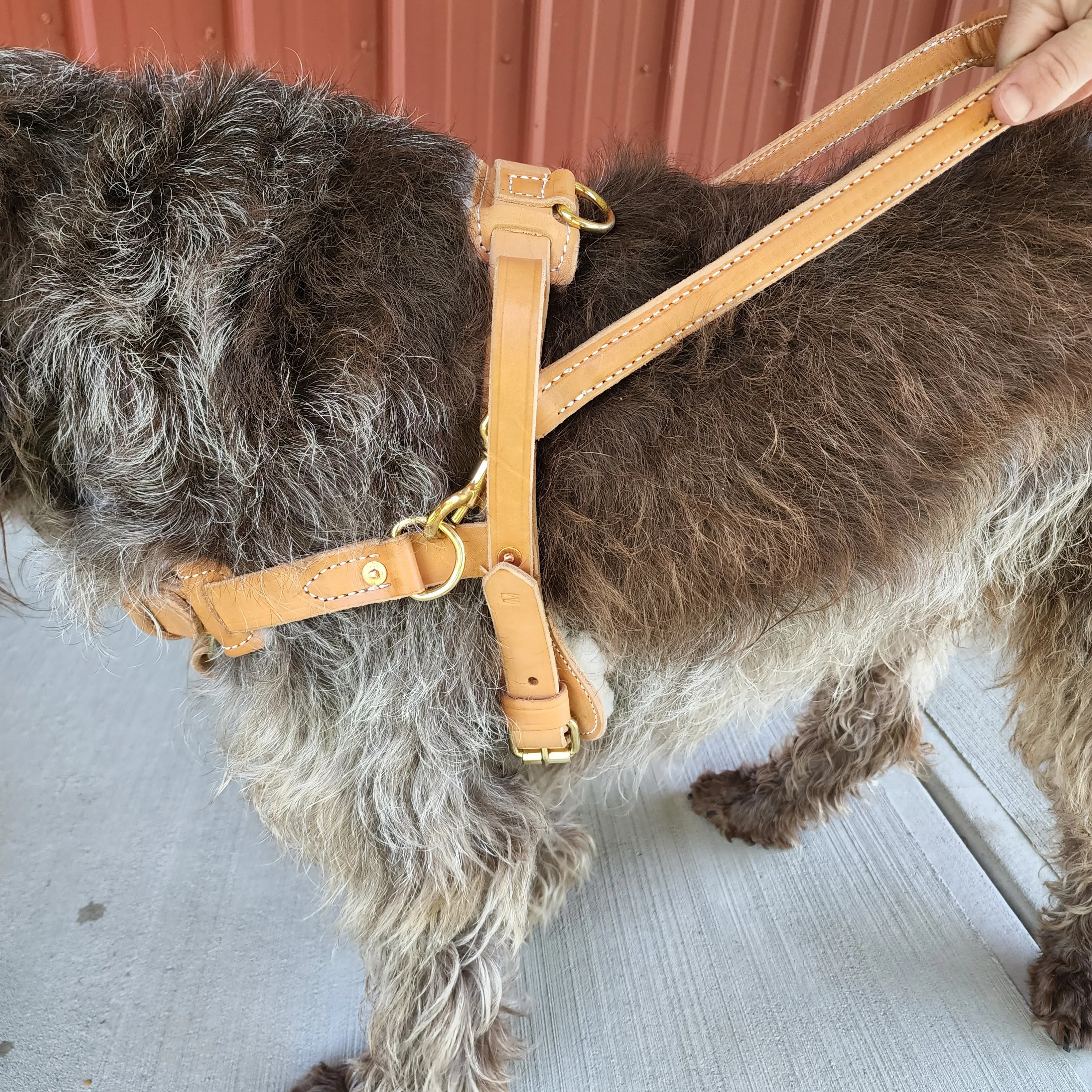 Leather Straight Front Guide Harness (Harness only)