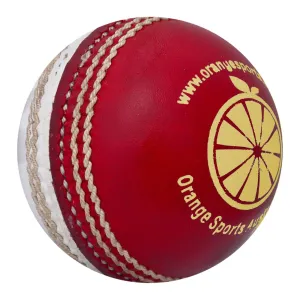 Red White Cricket Training Ball